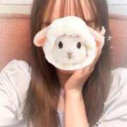 ヒメ日記 2025/09/27 15:39 投稿 ましろ 秋葉原鑑賞ガール