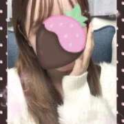 ましろ ありがとう！ 秋葉原鑑賞ガール