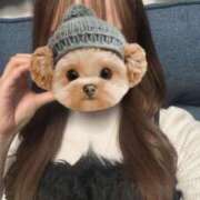 ましろ ありがとう！ 秋葉原鑑賞ガール