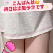 ヒメ日記 2025/11/13 23:40 投稿 ここな 秋葉原鑑賞ガール