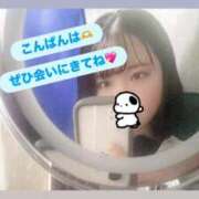 ヒメ日記 2025/11/14 20:47 投稿 ここな 秋葉原鑑賞ガール