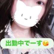 ヒメ日記 2025/11/23 15:47 投稿 ここな 秋葉原鑑賞ガール