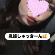 ここな 急遽出勤いたしましたぁ🥰 秋葉原鑑賞ガール