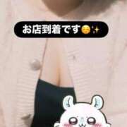 ヒメ日記 2026/03/12 19:07 投稿 ここな 秋葉原鑑賞ガール