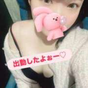 ヒメ日記 2026/04/18 13:27 投稿 ここな 秋葉原鑑賞ガール