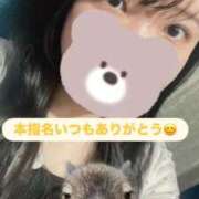 ヒメ日記 2026/04/25 19:37 投稿 ここな 秋葉原鑑賞ガール