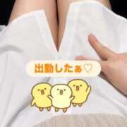 ヒメ日記 2026/05/06 13:48 投稿 ここな 秋葉原鑑賞ガール