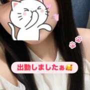 ヒメ日記 2026/05/10 14:35 投稿 ここな 秋葉原鑑賞ガール