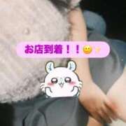 ヒメ日記 2026/05/17 14:08 投稿 ここな 秋葉原鑑賞ガール