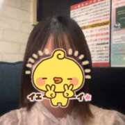 ヒメ日記 2025/12/12 21:17 投稿 あん 秋葉原鑑賞ガール