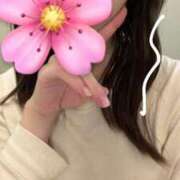 ヒメ日記 2025/11/15 11:27 投稿 しずか 秋葉原鑑賞ガール