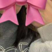 ヒメ日記 2025/11/16 01:27 投稿 しずか 秋葉原鑑賞ガール