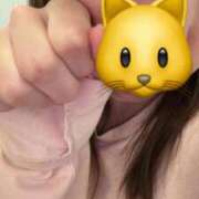 ヒメ日記 2025/11/25 17:23 投稿 しずか 秋葉原鑑賞ガール