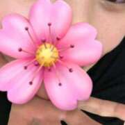 ヒメ日記 2025/11/30 23:53 投稿 しずか 秋葉原鑑賞ガール