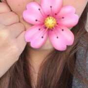 ヒメ日記 2026/01/13 09:47 投稿 しずか 秋葉原鑑賞ガール