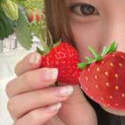 ヒメ日記 2026/01/23 18:27 投稿 しずか 秋葉原鑑賞ガール