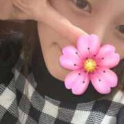 ヒメ日記 2026/01/24 19:27 投稿 しずか 秋葉原鑑賞ガール