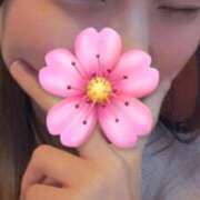 ヒメ日記 2026/02/13 11:27 投稿 しずか 秋葉原鑑賞ガール