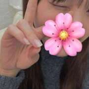 しずか 待機中ﾃﾞｽ！ 秋葉原鑑賞ガール