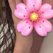 ヒメ日記 2026/03/04 22:27 投稿 しずか 秋葉原鑑賞ガール