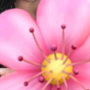 ヒメ日記 2026/03/28 00:37 投稿 しずか 秋葉原鑑賞ガール