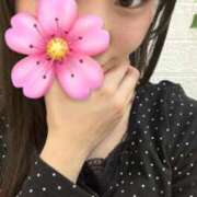 ヒメ日記 2026/04/02 22:07 投稿 しずか 秋葉原鑑賞ガール