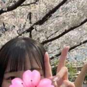 ヒメ日記 2026/04/03 23:27 投稿 しずか 秋葉原鑑賞ガール