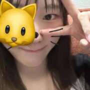 ヒメ日記 2026/04/05 16:47 投稿 しずか 秋葉原鑑賞ガール