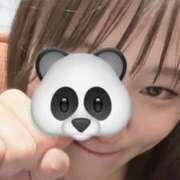 ヒメ日記 2026/04/06 23:47 投稿 しずか 秋葉原鑑賞ガール