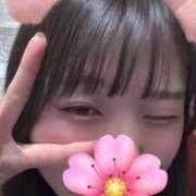 しずか 🌸 秋葉原鑑賞ガール