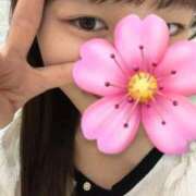 ヒメ日記 2026/05/11 10:27 投稿 しずか 秋葉原鑑賞ガール