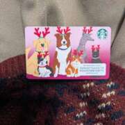 ヒメ日記 2025/12/25 08:40 投稿 さら イエスグループ熊本 TSUBAKI(ツバキ)