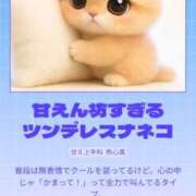 ヒメ日記 2026/01/28 23:19 投稿 ひめか SOAPLAND COSPA SAPPORO