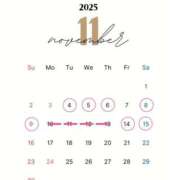 ヒメ日記 2025/11/04 18:38 投稿 平良ゆき ウルトラロイヤル