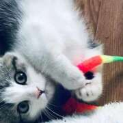 ヒメ日記 2025/12/20 01:29 投稿 あん 鶯谷おかあさん