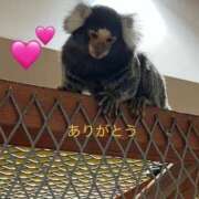 ヒメ日記 2026/01/12 00:09 投稿 あん 鶯谷おかあさん