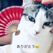 ヒメ日記 2026/01/13 23:09 投稿 あん 鶯谷おかあさん