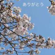 ヒメ日記 2026/03/29 23:39 投稿 あん 鶯谷おかあさん