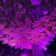 ヒメ日記 2026/04/16 00:39 投稿 あん 鶯谷おかあさん