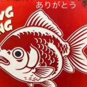 ヒメ日記 2026/04/23 23:49 投稿 あん 鶯谷おかあさん