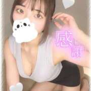 ヒメ日記 2025/11/14 00:36 投稿 ほのか 美女のカタチ