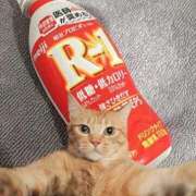 ヒメ日記 2025/11/23 17:20 投稿 ほのか 美女のカタチ