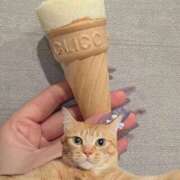 ヒメ日記 2025/12/08 09:16 投稿 ほのか 美女のカタチ