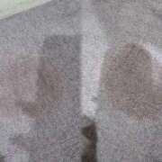 ヒメ日記 2025/12/30 16:43 投稿 ほのか 美女のカタチ