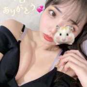 ヒメ日記 2025/12/31 00:25 投稿 ほのか 美女のカタチ