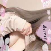 ヒメ日記 2025/11/15 04:18 投稿 めろ Gossip girl成田店