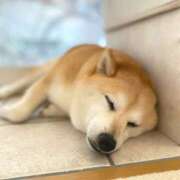 ヒメ日記 2025/09/15 22:56 投稿 りりか ハピネス東京 吉原店