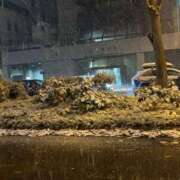 ヒメ日記 2025/11/08 09:28 投稿 ひめ Mrs Sirena（ミセスシレナ）