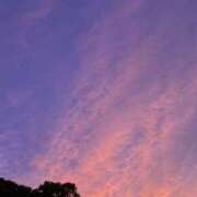 ヒメ日記 2025/10/08 21:48 投稿 なみ 五反田みるみる(ユメオト)