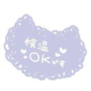 ヒメ日記 2025/10/08 07:05 投稿 てるみ 待ちナビ